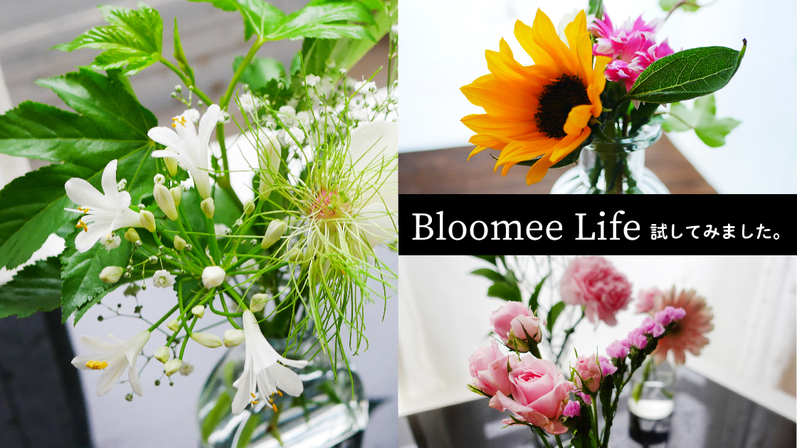 9/14更新/9回目【Bloomee Life】ポストに届くお花のサブスク【口コミ・クーポン・花の質などは？】